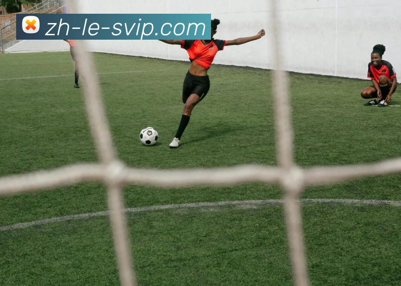 B体育官网APP 高清赛事图