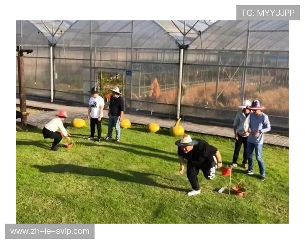 小车拉鸡蛋挑战赛考验平衡与技巧的趣味竞技游戏